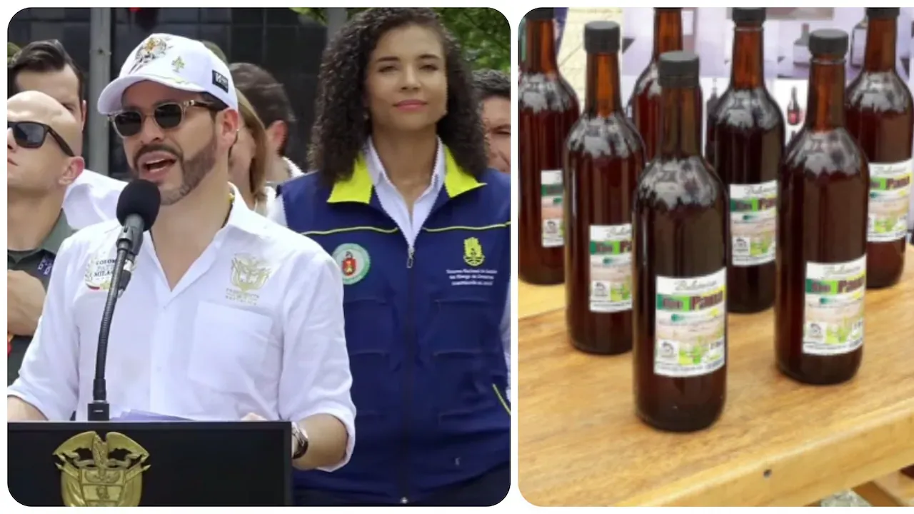 Productores de viche en Chocó venderán su destilado en la Central Mayorista de Antioquia tras anuncio del presidente De La Espriella