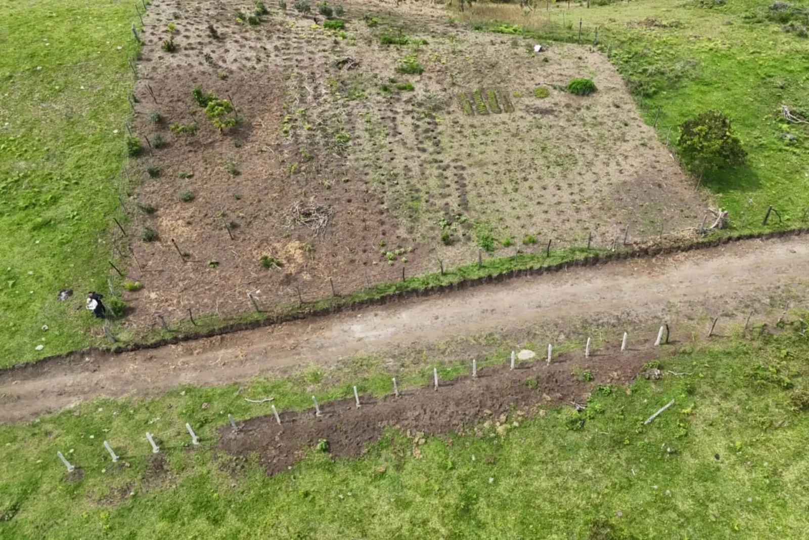 La gestión de tierras durante el gobierno Petro quedó bajo la lupa