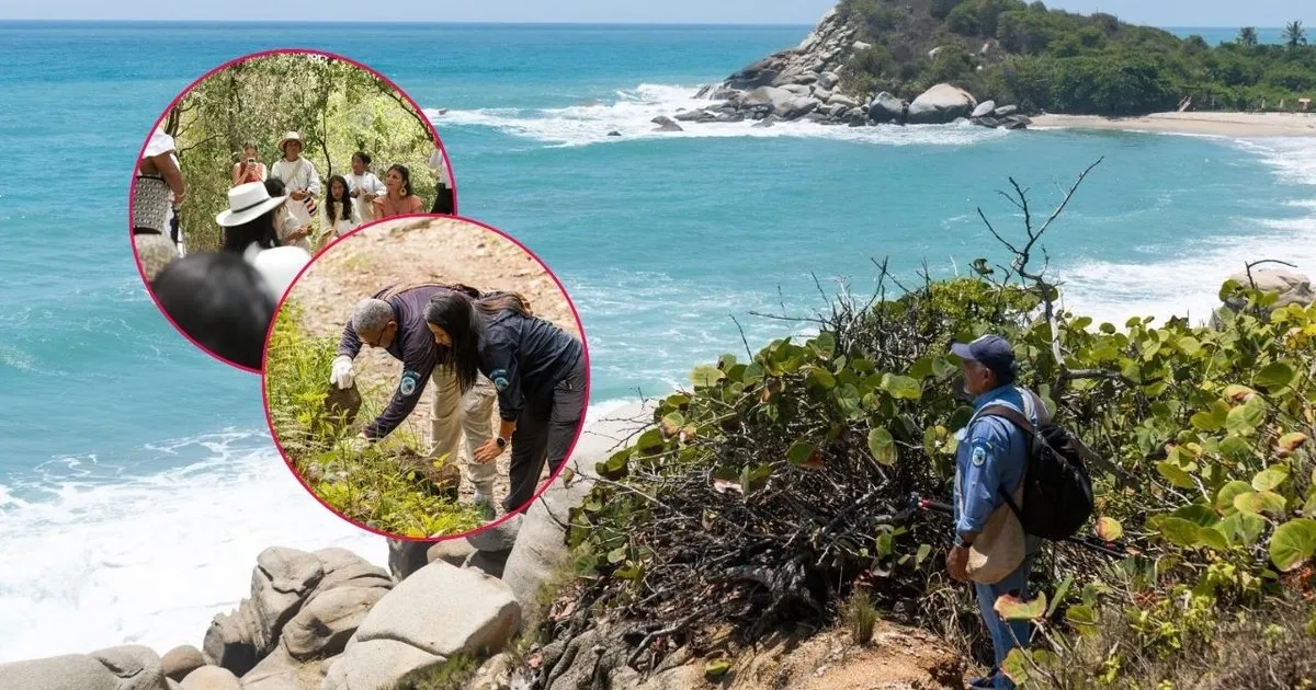 Gobierno activa plan de turismo seguro en parques naturales de Santa Marta